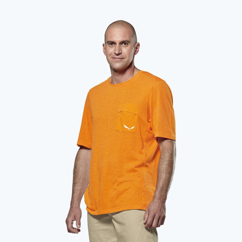 Pánské trekové tričko Salewa Agner Hemp/Dst turmeric