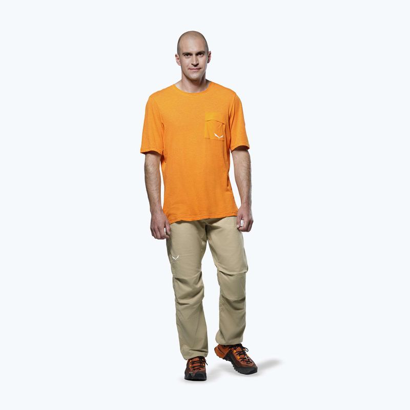 Pánské trekové tričko Salewa Agner Hemp/Dst turmeric 2