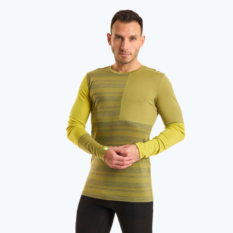 Pánská termoakční mikina ORTOVOX 185 Rock'N'Wool sweet alison