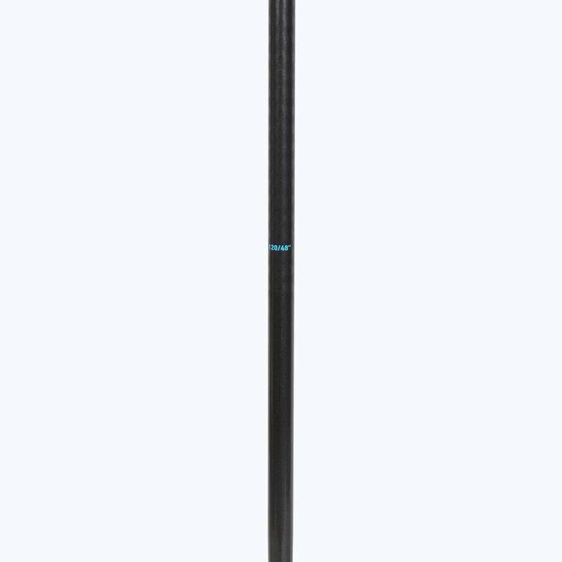 Lyžařské hole HEAD Frontside carbon black/speed blue 4