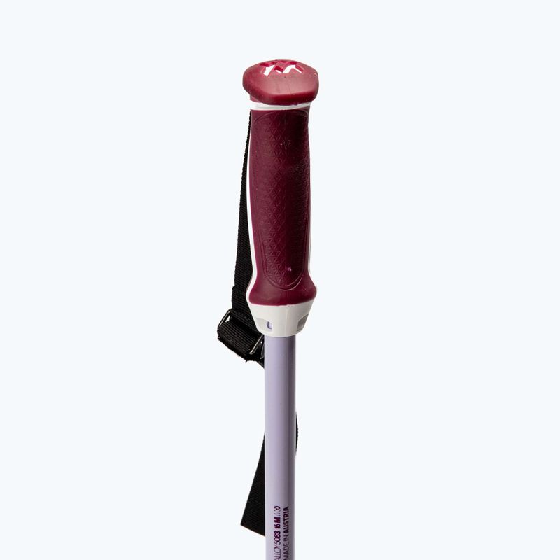Dámské lyžařské hole Völkl Phantastick W stříbrné 141017 3