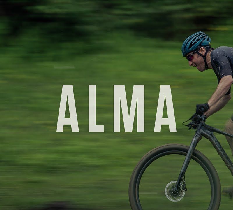 Horské kolo Orbea Alma H50 černé 17