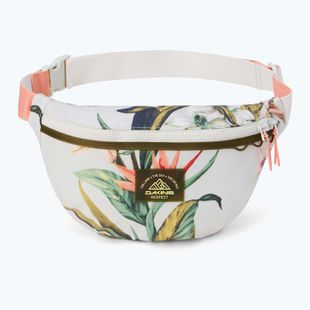 Ledvinka Dakine Renovation Hip botanical head