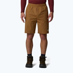 Pánské šortky The North Face Limestone utility brown