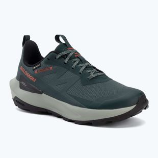 Pánské turistické boty Salomon Elixir Activ GTX scarab/green gable