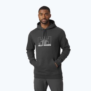 Pánská trekingová mikina Helly Hansen Nord Graphic Pull Over 981 šedá 62975