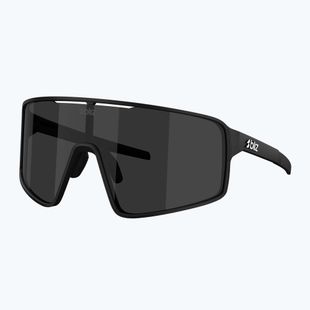 Sluneční brýle Bliz P001 matte black/smoke
